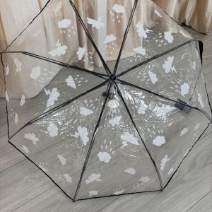 Paraguas transparente nubes