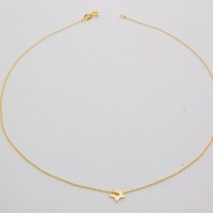 Collar con estrella